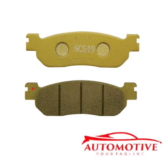 BỐ THẮNG SCS19